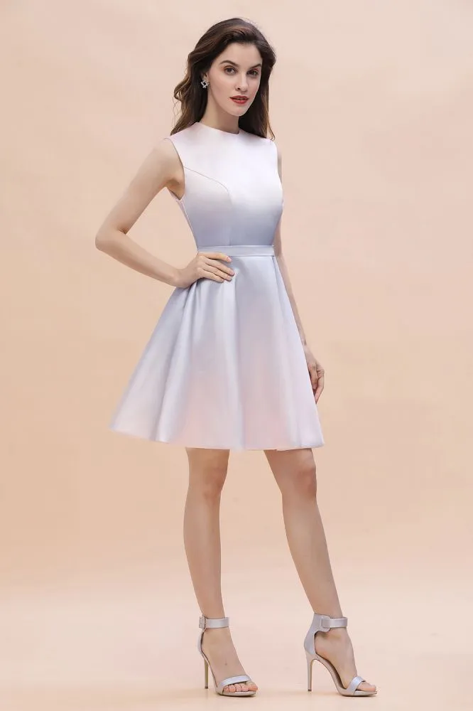 Crew Neck Sleeveless Gradient Aline Short Party Dress Daily Casual Dress