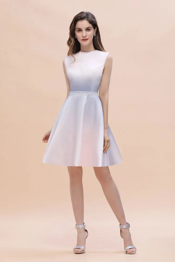 Crew Neck Sleeveless Gradient Aline Short Party Dress Daily Casual Dress
