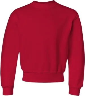 Jerzees boys Fleece Sweatshirts, Hoodies & Sweatpants Shirt, Sweatshirt - True Red, Medium US