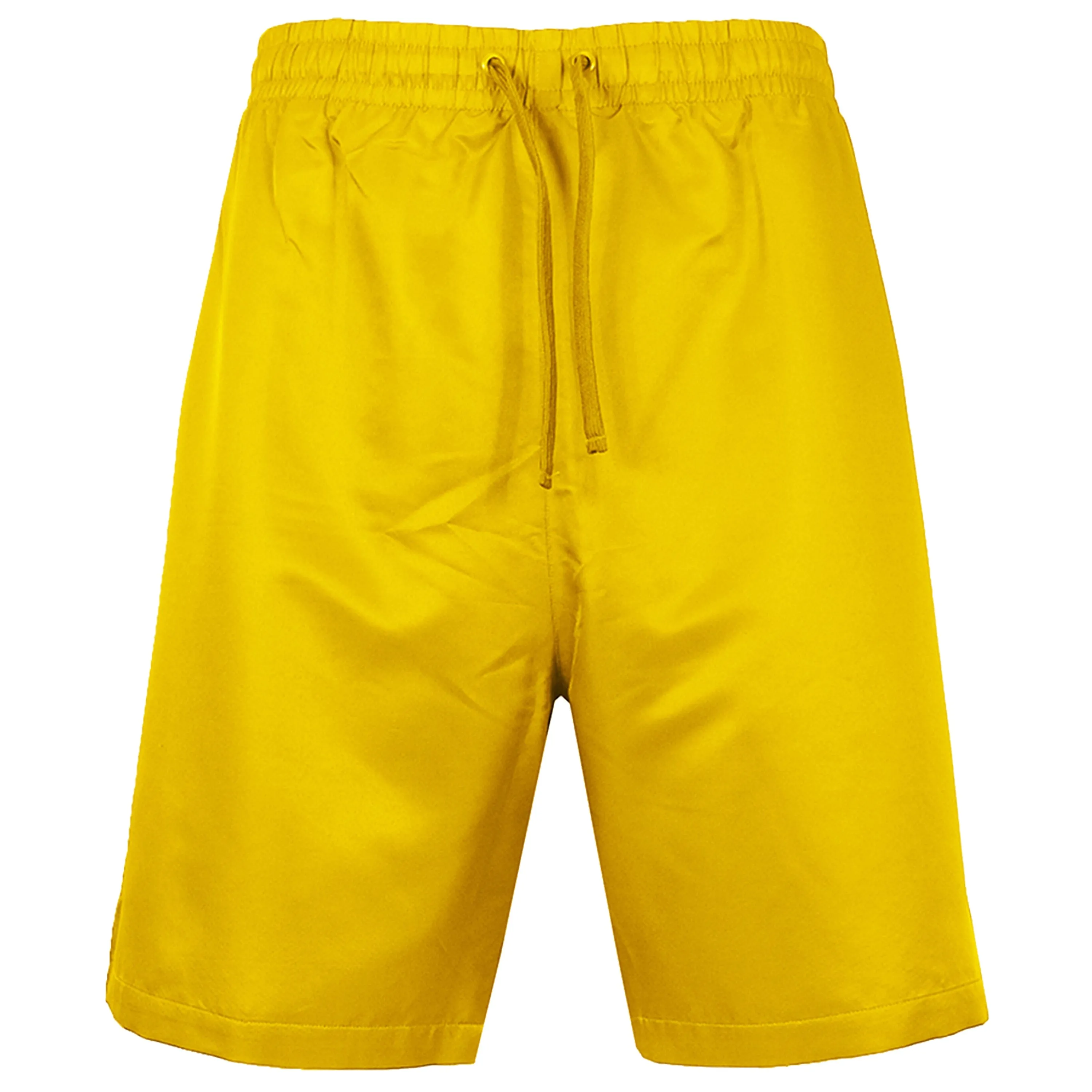 Men's Active Performance/Swim Shorts