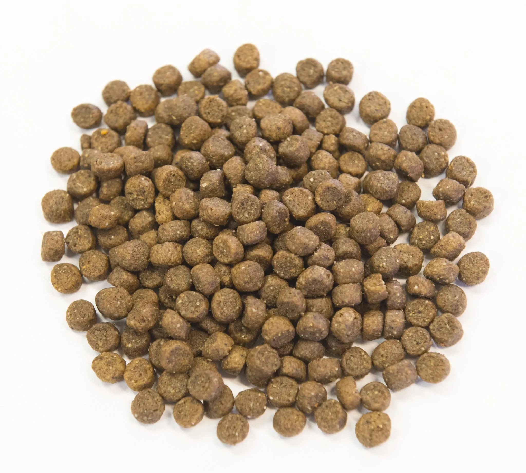 Perfect Balance Chicken Meal & Pork Meal Recipe with Ancient Grains Dog Food